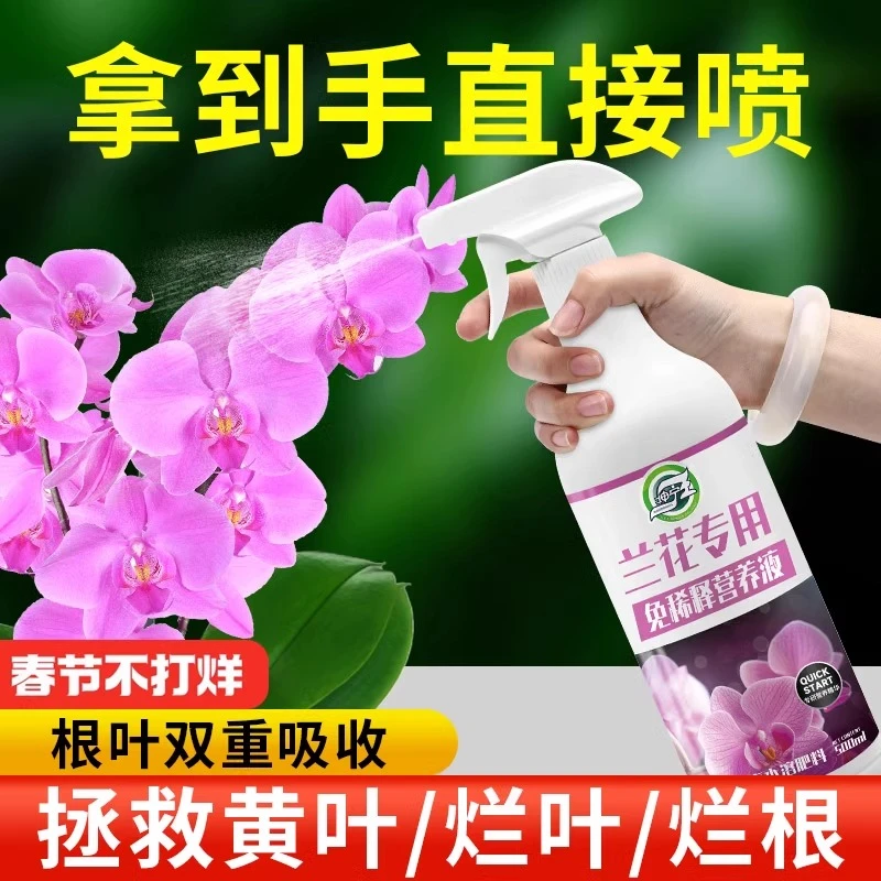 免稀释兰花专用营养液肥兰科植物蝴蝶兰君子兰墨兰催花有机肥料