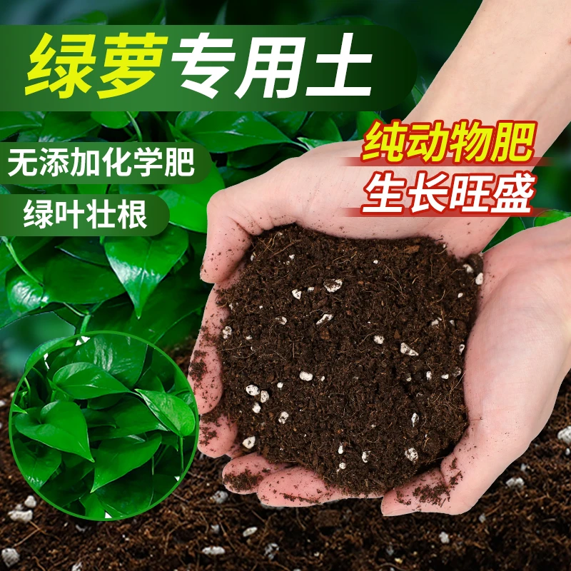 绿萝营养土批发种花养花绿萝专用肥料家用阳台羊粪土有机种植泥土