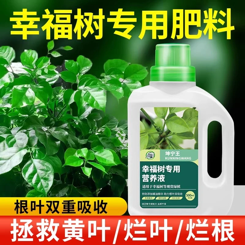 幸福树专用肥料营养液落叶掉叶子盆栽植物室内绿植养花氮磷钾花肥
