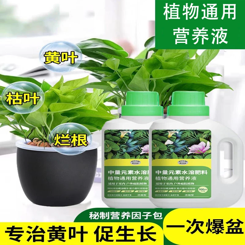 植物通用浓缩营养液，养花肥料，够用三年，拍二发三更划算！