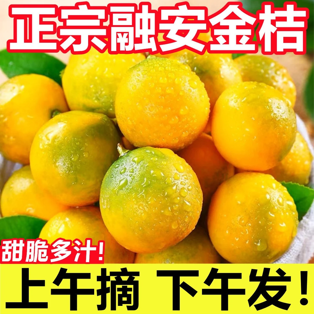 顺丰广西脆皮小金桔正宗当季新鲜时令糖豆水果纯甜现摘现发1-5斤