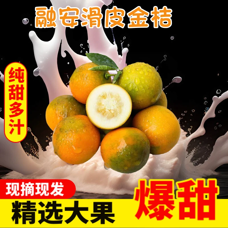 广西脆皮小金桔纯甜正宗当季时令糖豆水果新鲜现摘现发顺丰1-5斤