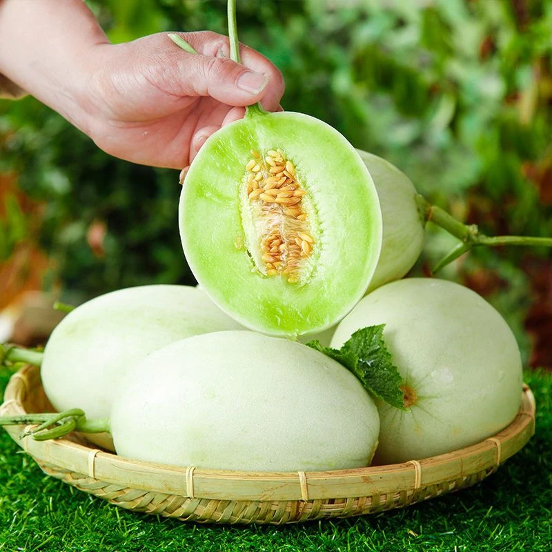 冰淇凌玉菇甜瓜2-9斤新鲜水果整箱应当季小香瓜白密瓜哈蜜瓜整箱