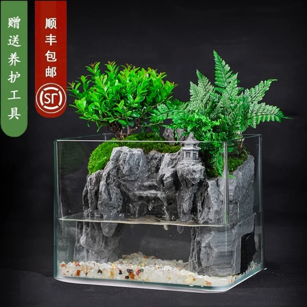 【依山居】内置循环水小叶赤楠-办公室桌面造景22*15*17