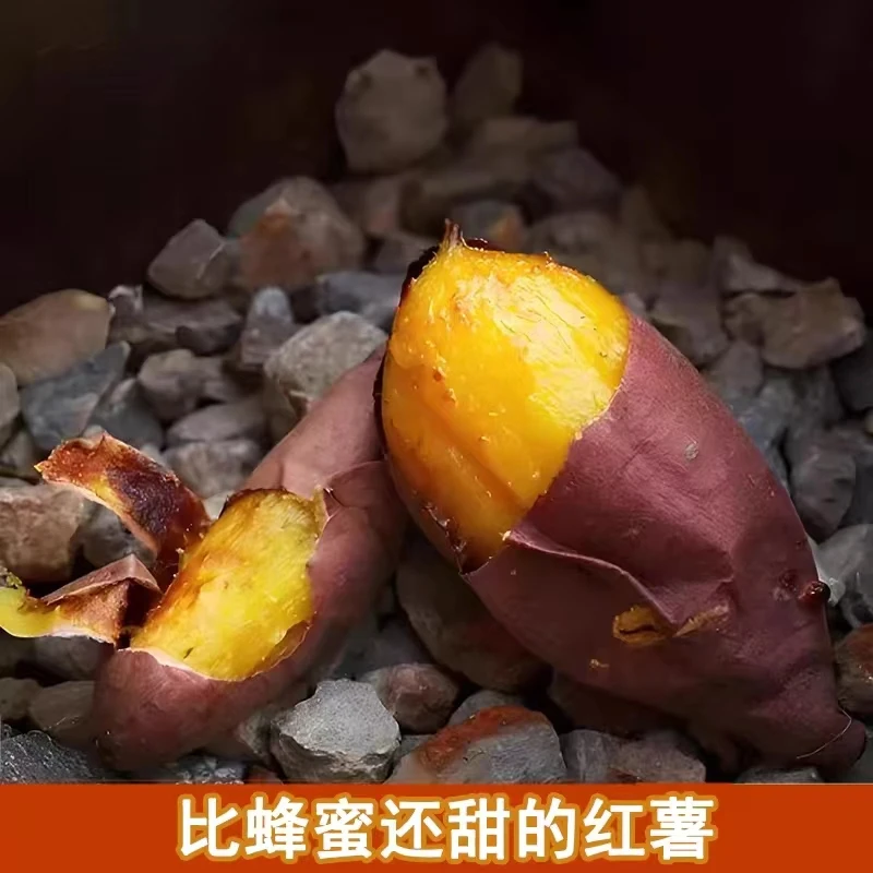 红瑶红薯香甜软糯(通果）+-25g(5斤)