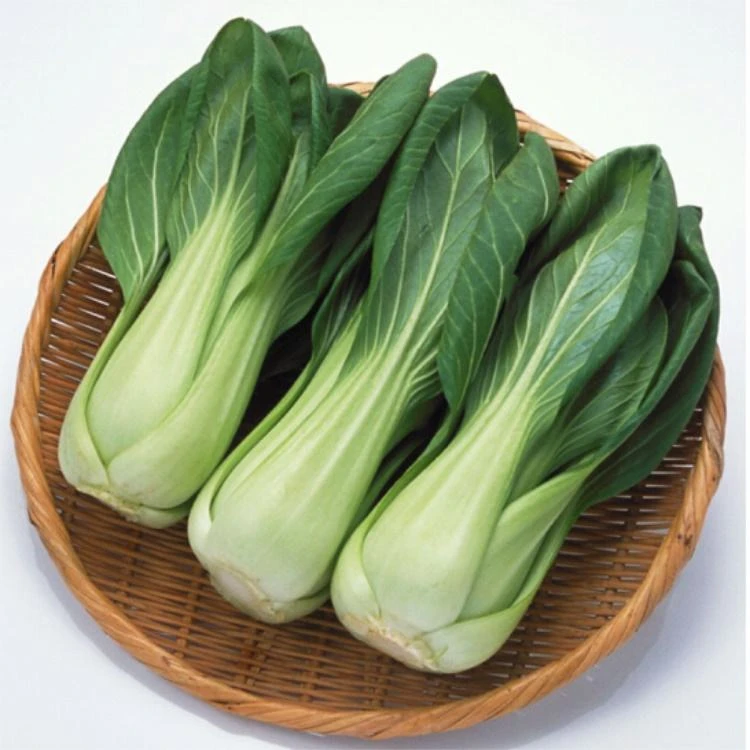 精品上海青350g/份