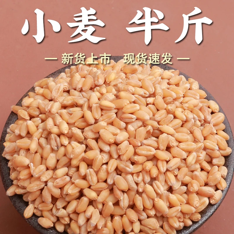 【小麦粒半斤】干麦子去壳带皮麦子粒青汁麦芽糖原材料磨面小麦仁