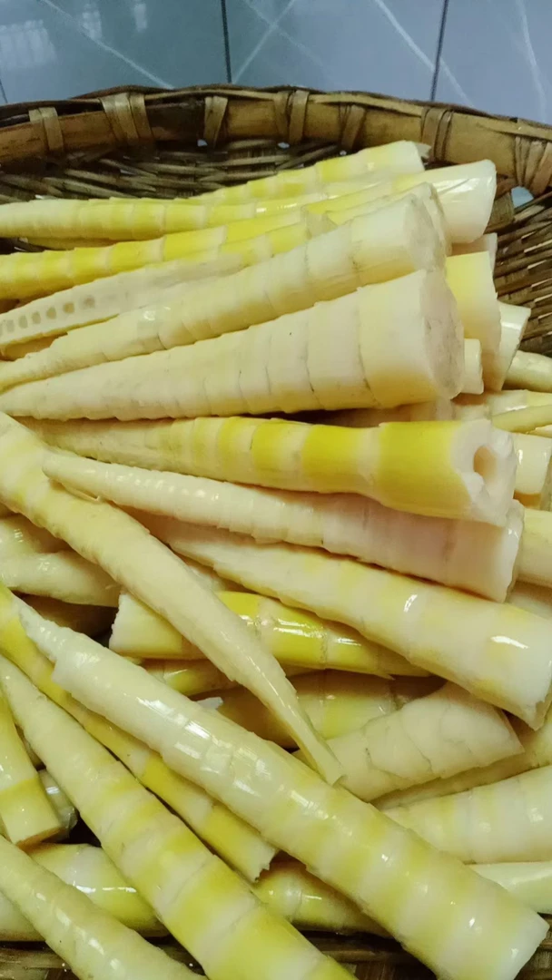 云南盐津高山去壳秋笋（方竹笋）新鲜笋尖清水笋脆嫩可用于火锅