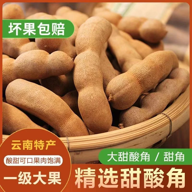 云南甜酸角大果新鲜酸角零食罗望子果脯带壳甜角水果
