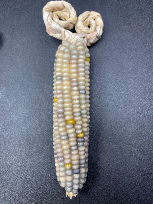 文玩玉米（一物一拍）