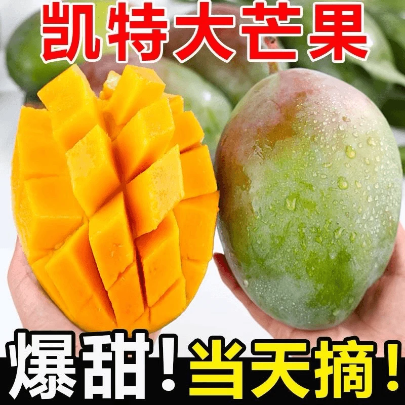 【放软食用】攀枝花凯特芒果大青芒香甜软糯热带新鲜水果福利5斤装