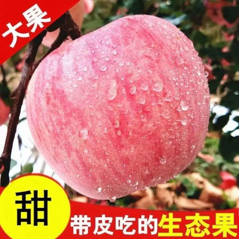 平果脆甜水果超低价冰糖心红富士苹果当季新鲜包邮整箱批1/5/10斤