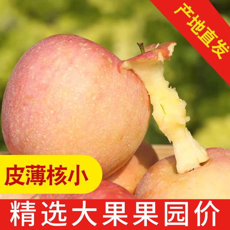【果园直发】万荣苹果正宗冰糖心红富士孕妇水果脆甜多汁1-10斤脆甜