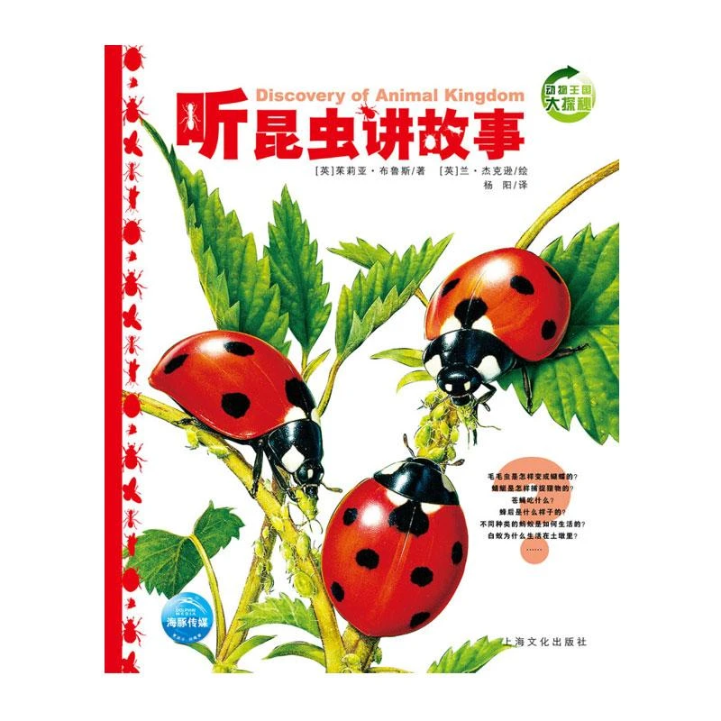 正版 动物王国大探秘 听昆虫讲故事 3-4-5-6岁儿童课外