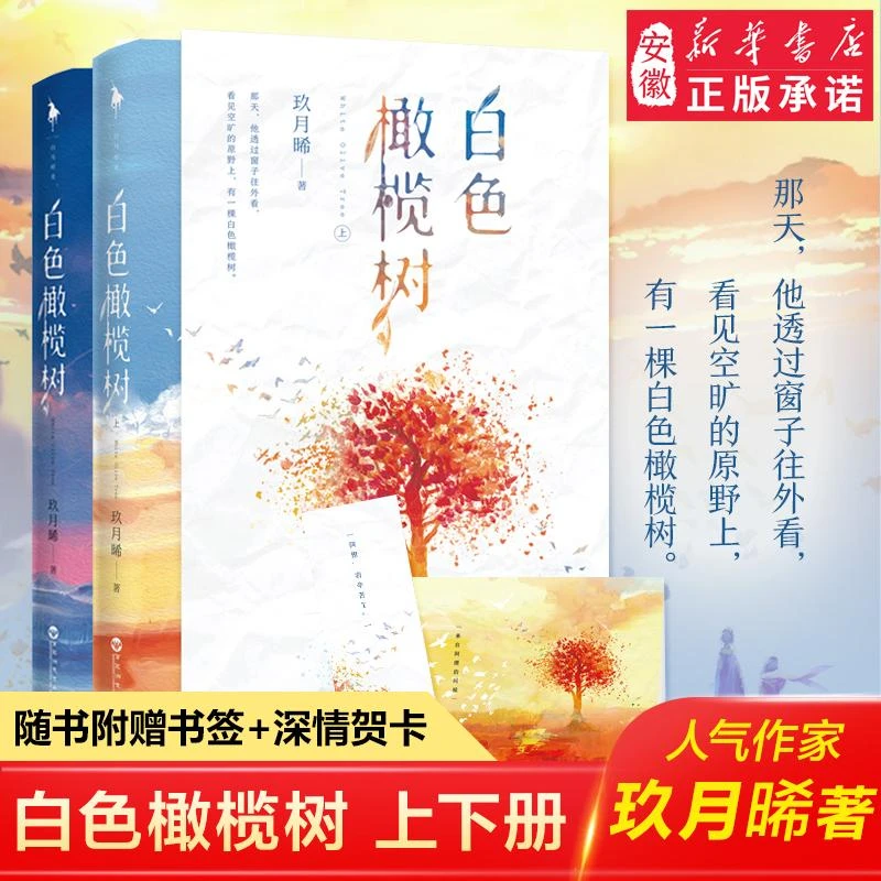 白色橄榄树 玖月晞的书青春文学小说 少年的你如此美丽 追风系