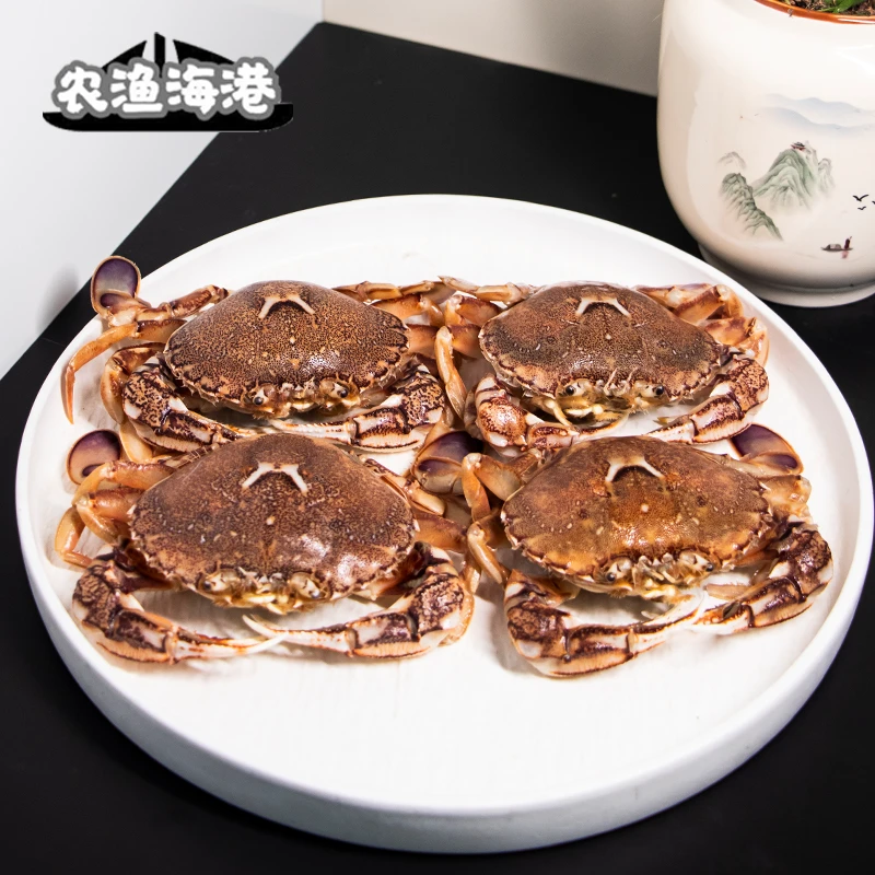 农渔海港招财蟹沙蟹石蟹母蟹超低温急冻锁鲜