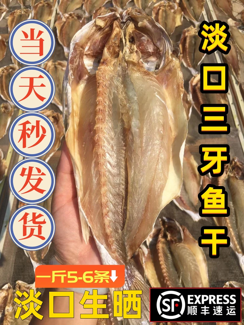 台山生晒三牙鱼干肉质鲜嫩淡口晒干下饭菜三牙鱼干500g顺丰包邮