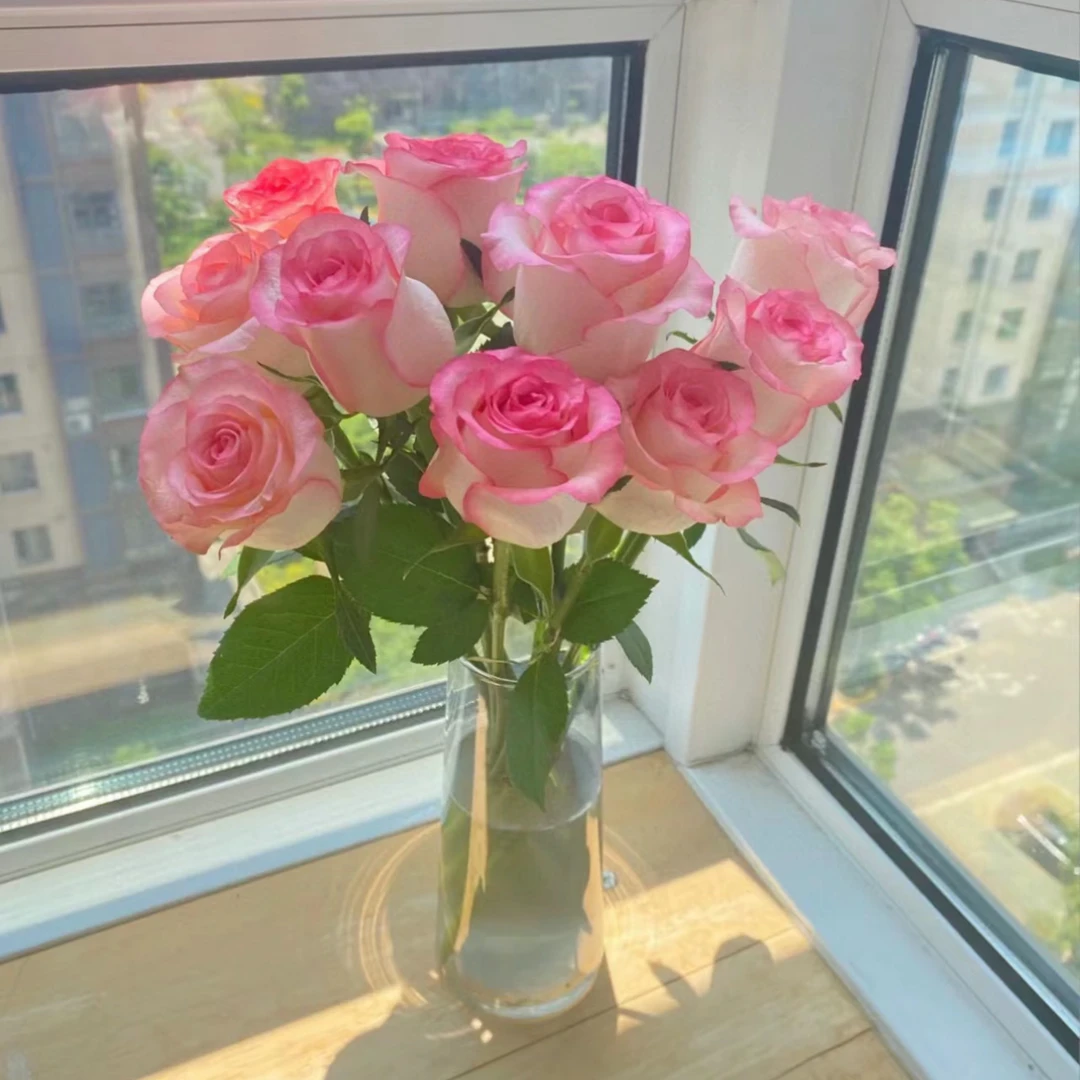 东北花卉批发沈阳鲜花速递爱莎玫瑰