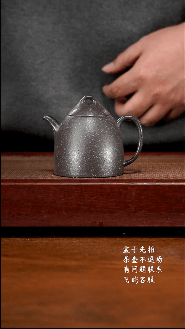【闪购商品】紫砂茶壶10S31