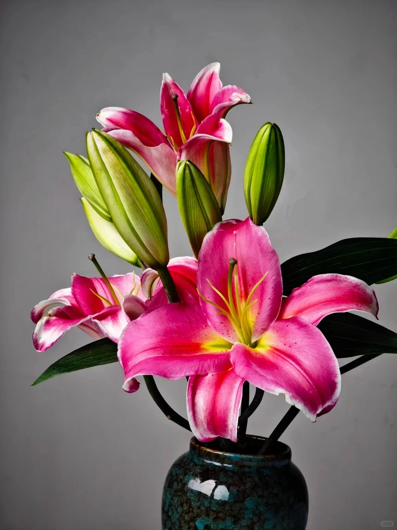 【源头优选】特红香水百合 任意2单鲜花包邮发货后不支持退款