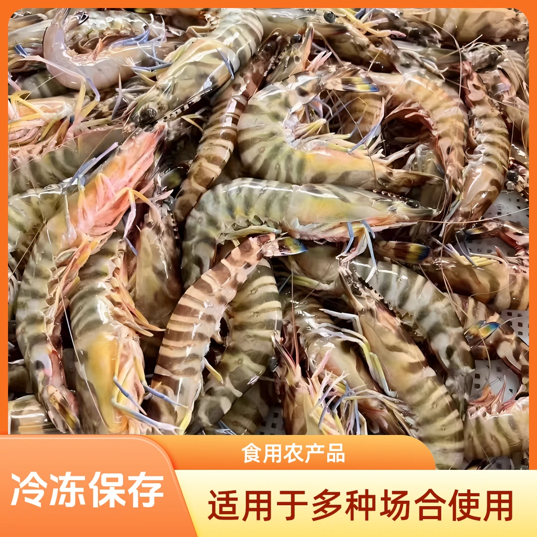 码头大小混装花虾斑节虾冷冻发货深海捕捞