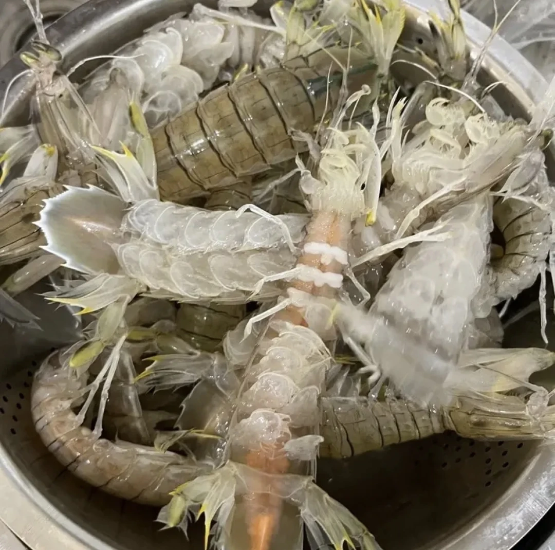 皮皮虾大虾鲜活超大虾爬野生水产北海赖尿活煮蒸熟冷冻