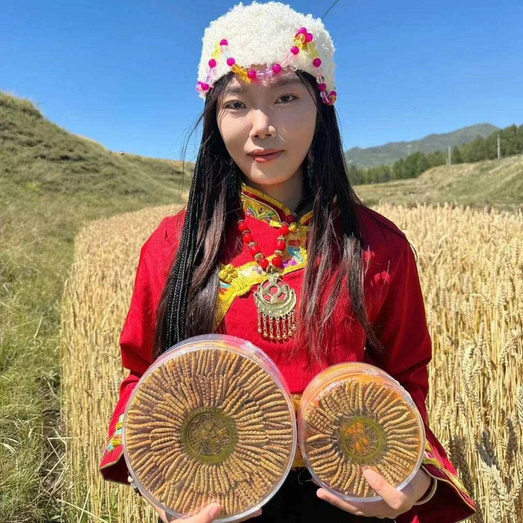 严选头期冬虫夏草 40根饱满特大草