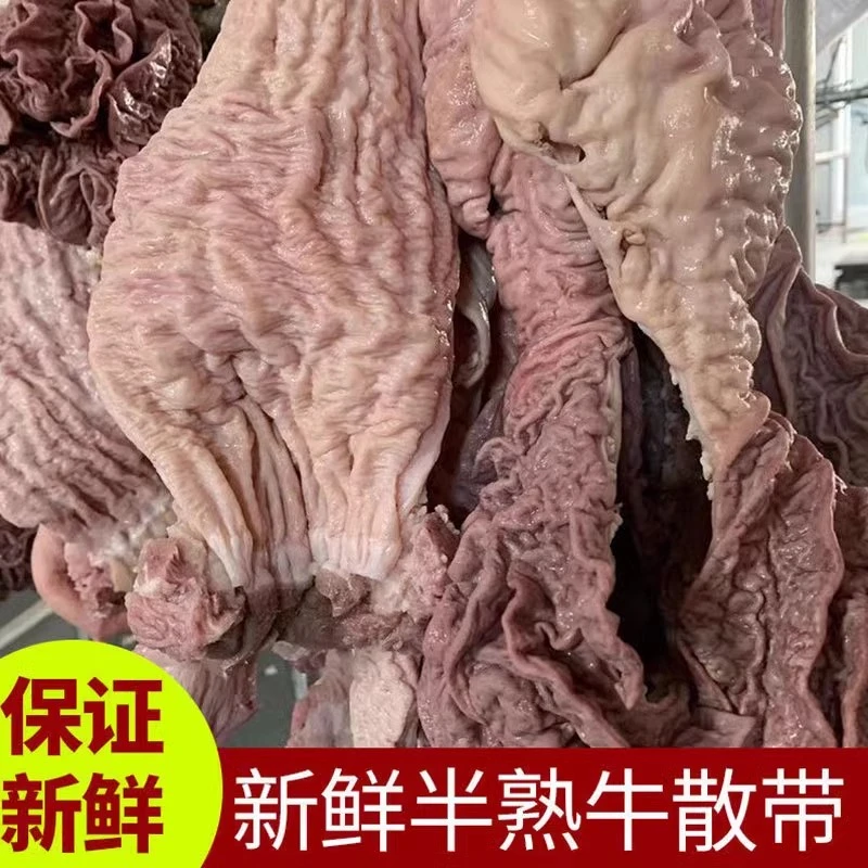 牛散带牛伞肚牛肠牛下水商用牛杂新鲜速冻半成品干净去油真空包装
