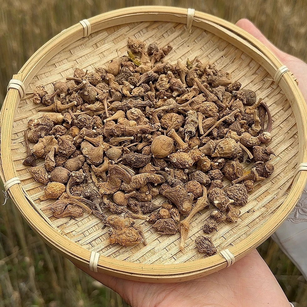 西藏正宗精选高海拔下山货三七