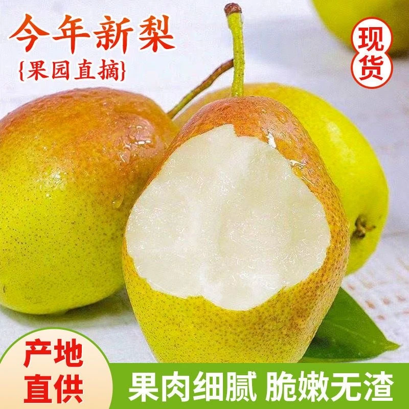 【山西红香酥梨】新鲜水果脆甜多汁带箱5斤-坏果包赔酥脆香甜