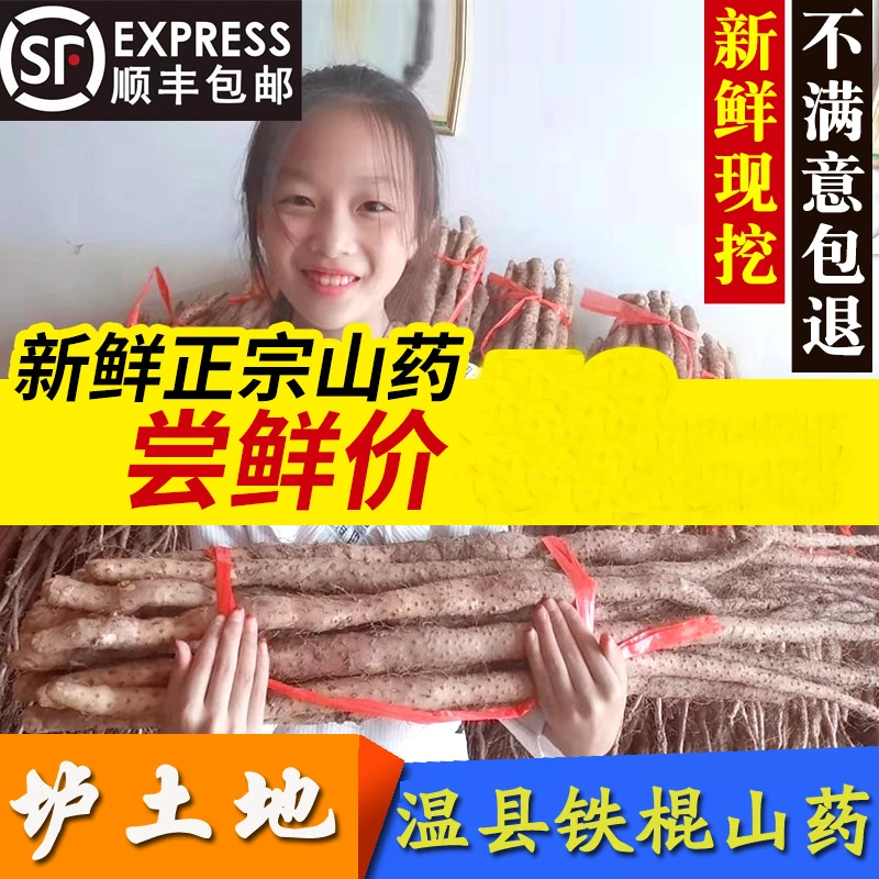 河南焦作温县鲜垆土地铁棍怀山药实惠5斤装