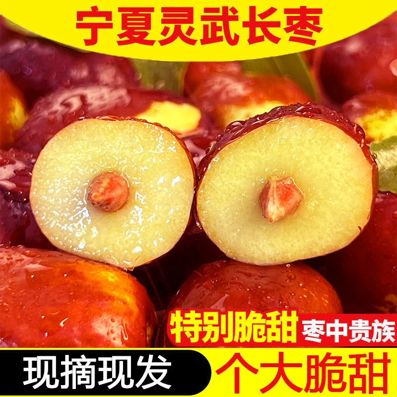 顺丰快递】宁夏特产灵武长枣/脆甜可口/现摘现发