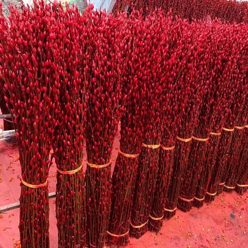 【推荐80厘米】银柳真花鲜枝年宵花室内客厅喜庆新年干花装饰乔迁