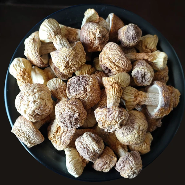 新货姬松茸干货云南特产精选非特级松茸菌巴西菇蘑菇菌菇500g