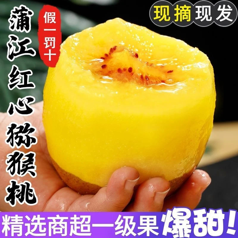 正宗四川浦江红心猕猴桃新鲜水果当季大果孕妇奇异果现摘礼盒包邮