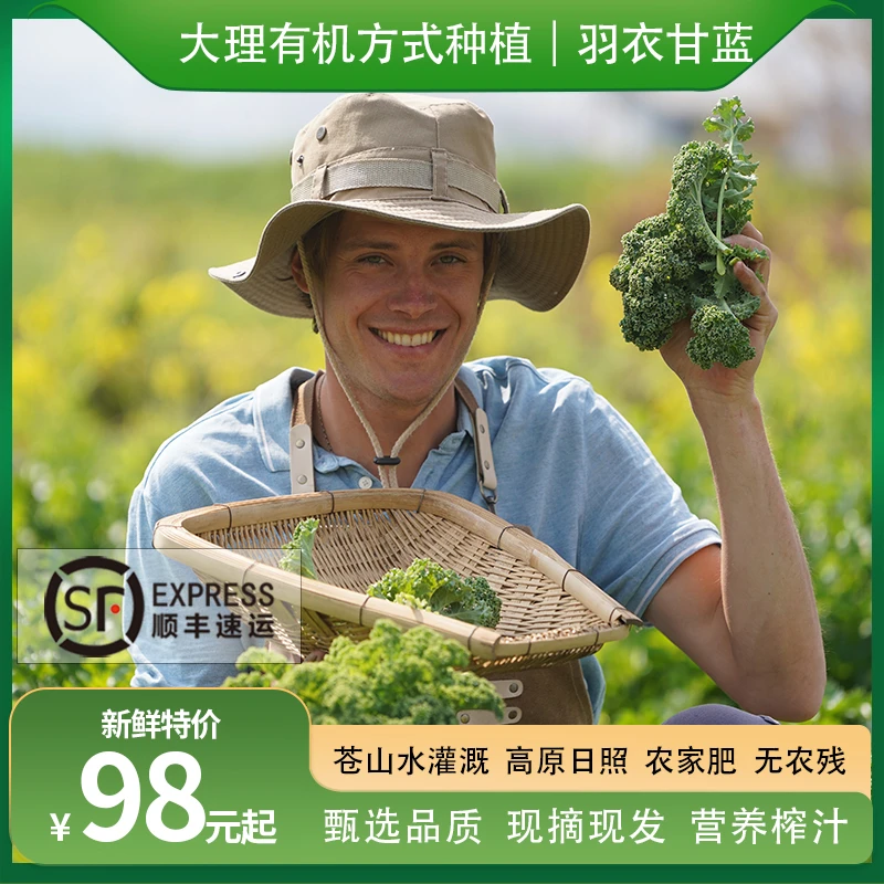 瑞典奶爸在大理｜有机方式种植羽衣甘蓝新鲜生吃榨汁鲜蔬菜沙拉3斤