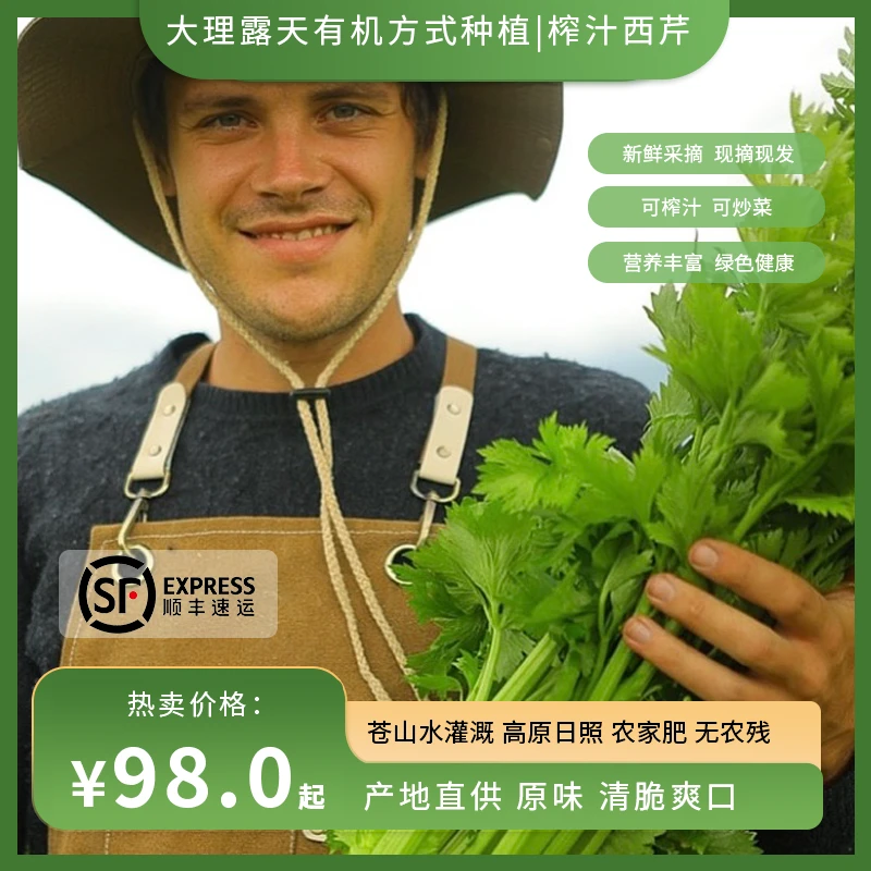 瑞典奶爸在大理｜有机方式种植西芹榨汁生吃沙拉榨汁蔬菜新鲜5斤