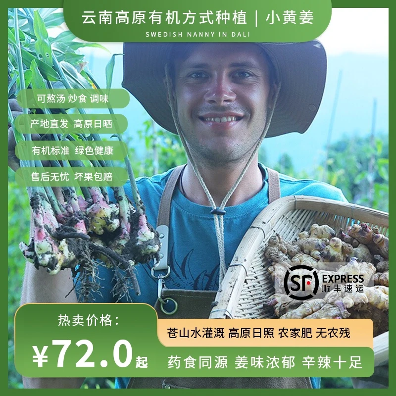 瑞典奶爸在大理|有机方式种植小黄姜老姜干姜高山榨汁熬汤炒调味