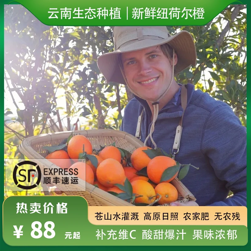 瑞典奶爸在大理｜云南生态橙子纽荷尔脐橙现摘发当季水果5斤顺丰