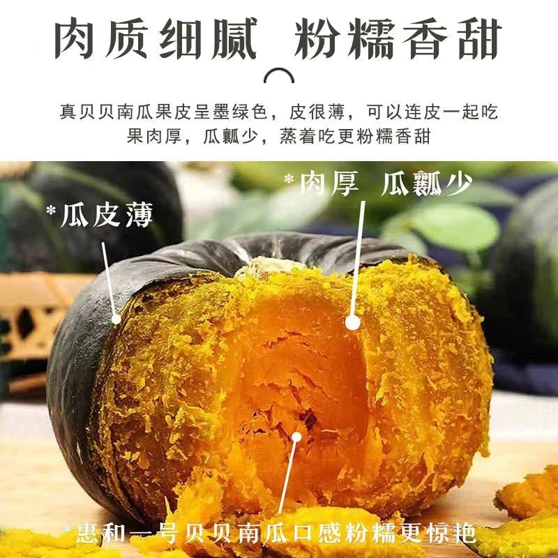 贝贝南瓜【粉糯香甜】婴幼儿辅食板栗味口感南瓜好吃原产地新鲜