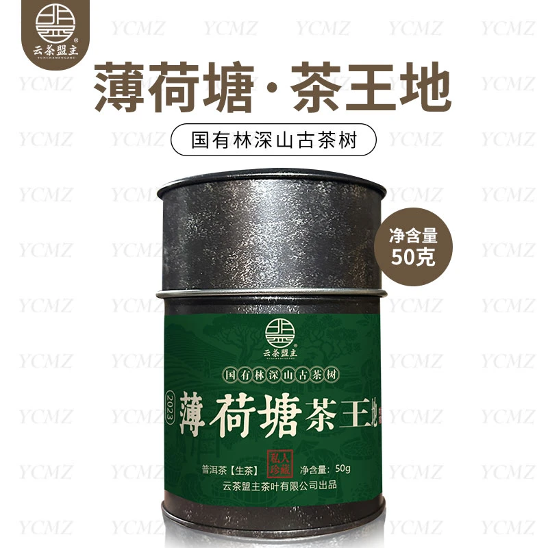 云茶盟主2023年【薄荷塘茶王地】深山古树茶！50g*罐！