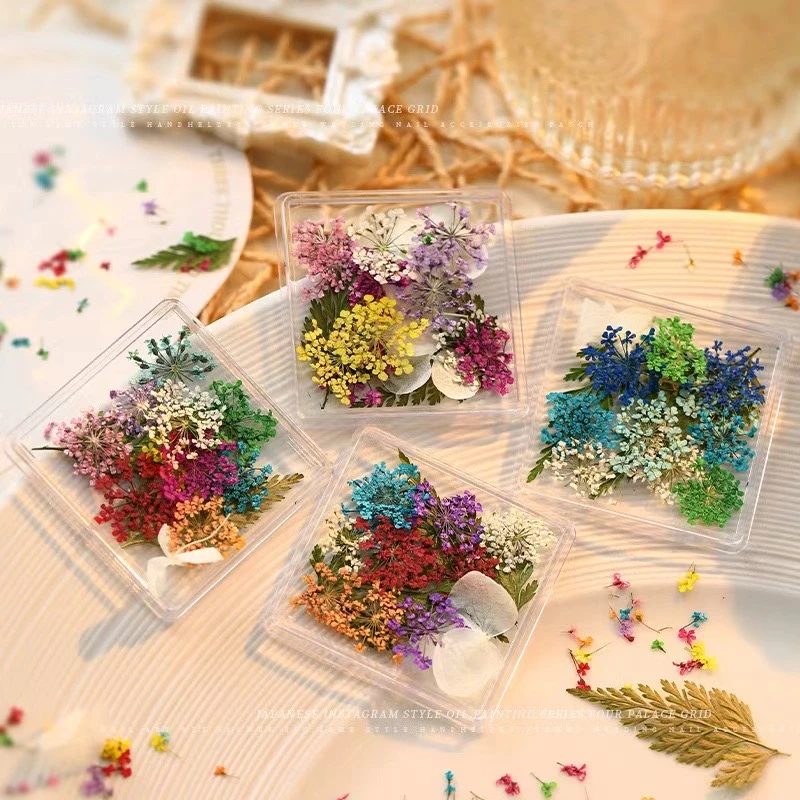 美甲莫奈干花日系小清新满天星太阳花混款真花小碎花美甲盒装饰品