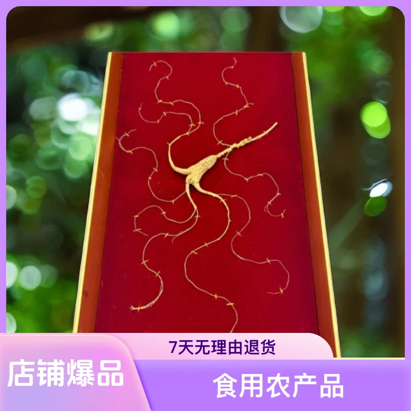 长白山特产林下参干品礼盒45板送礼佳品包邮