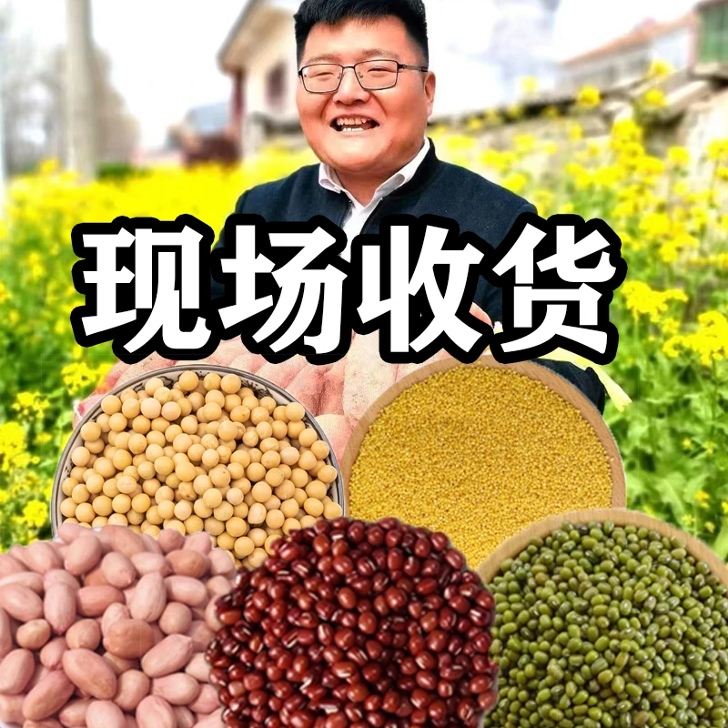 201-250【助农现场称重】村民自产自愿购买 河南农村土特产CZ