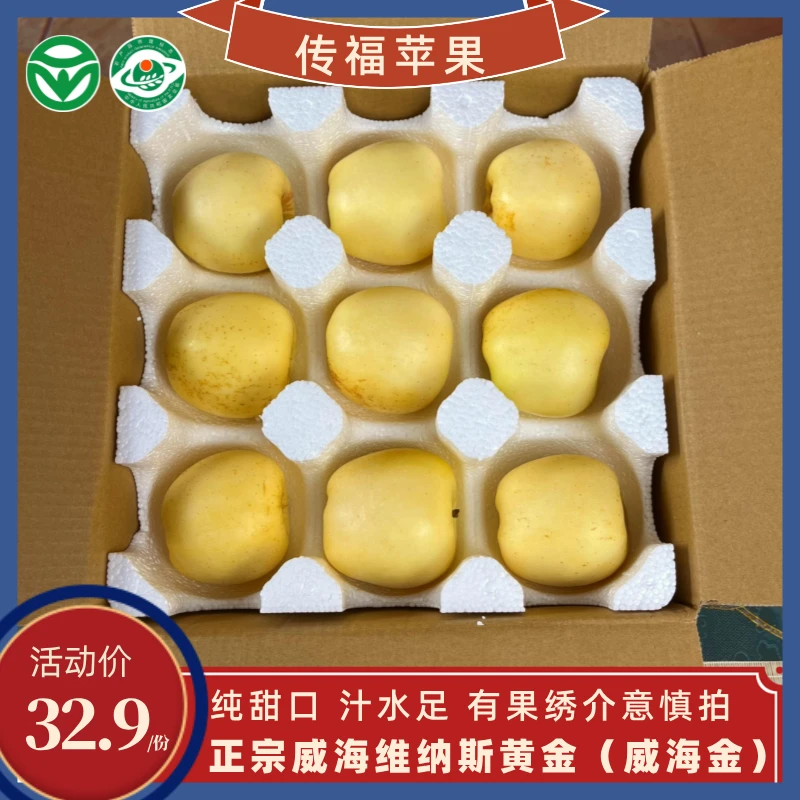 威海传福苹果维纳斯黄金（威海金）9个简装绿色食品文登