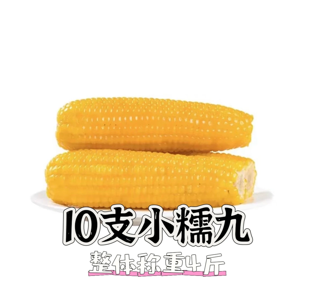 黑土地波斯小糯九黄糯玉米微甜软糯粘香拉丝真空锁鲜240g*10支