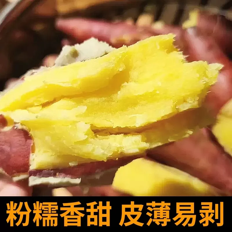 新鲜现挖陕西板栗红薯干面粉甜沙地蜜薯4.5斤包邮老少板栗味红薯