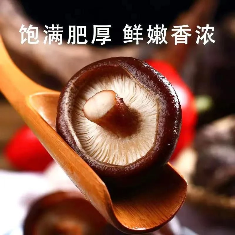 大巴山农村干香菇