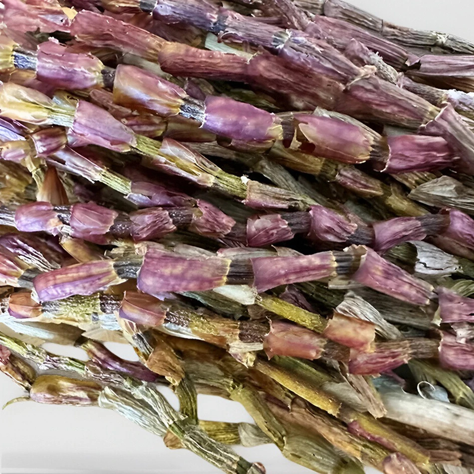 极边印象----紫皮鲜条