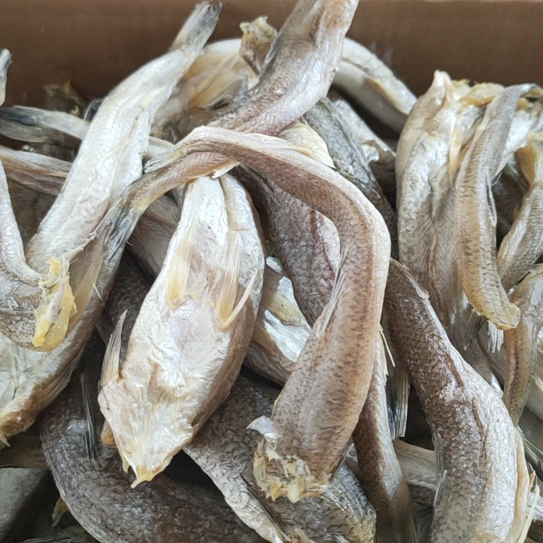 淡干梭鱼开片梭鱼小鱼干野生鱼干